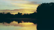 pantanal_sunrise.jpg (15681 bytes)