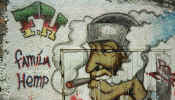 rio_street_art.jpg (39796 bytes)
