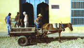 trinidad_cart.jpg (37278 bytes)