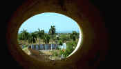 trinidad_window.jpg (18718 bytes)