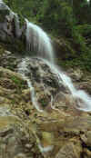 manu_falls.jpg (33981 bytes)