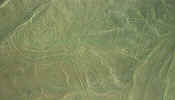 south_monkey.jpg (25435 bytes)