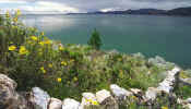 titicaca_yellow.jpg (35310 bytes)