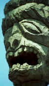 face_closeup.jpg (27849 bytes)