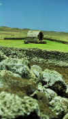 ruins.jpg (31876 bytes)