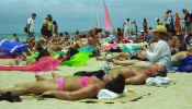 honolulu_beach.jpg (31213 bytes)