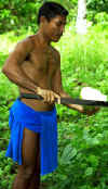 fais_cutting_coconuts.jpg (30344 bytes)