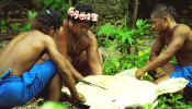fais_turtle_men_chopping.jpg (30911 bytes)