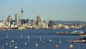 auckland_city_view.jpg (24269 bytes)