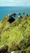 south_is_east_lighthouse_shoreline.jpg (39505 bytes)