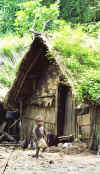 tanna_big_nambas_house_boy.jpg (42524 bytes)