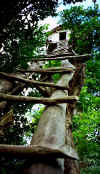 tanna_tree_house.jpg (45788 bytes)