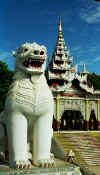 man_white_lion.jpg (33144 bytes)