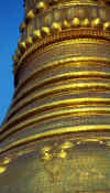 rng_shwe_close.jpg (32106 bytes)