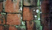 ang_structure3.jpg (18665 bytes)