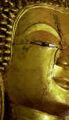 lp_head.jpg (15194 bytes)