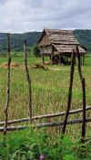 xay_homestead.jpg (18949 bytes)