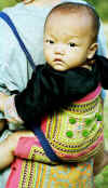 nan_baby.jpg (23750 bytes)