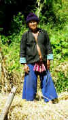 nan_hay.jpg (25378 bytes)