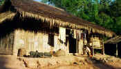 nan_home.jpg (23028 bytes)